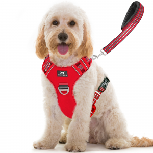 TUFFDOG poppy red dog harness