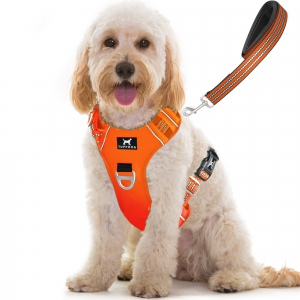 TUFFDOG blaze orange dog harness medium