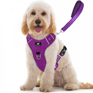 TUFFDOG purple dog harness